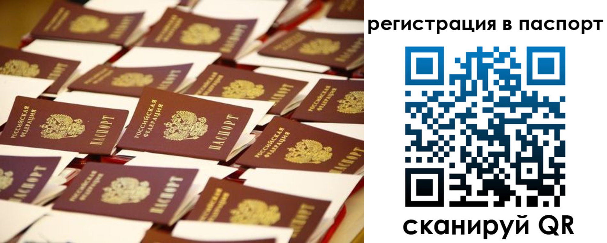 прописка гарантия в Ступино